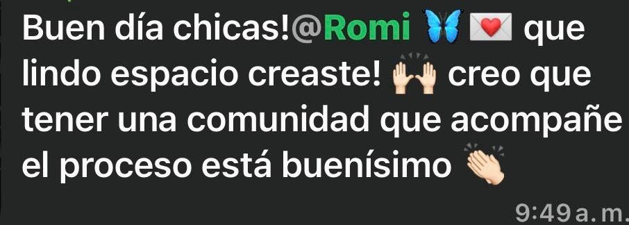 Mensaje real de una lectora sobre el journal (22)