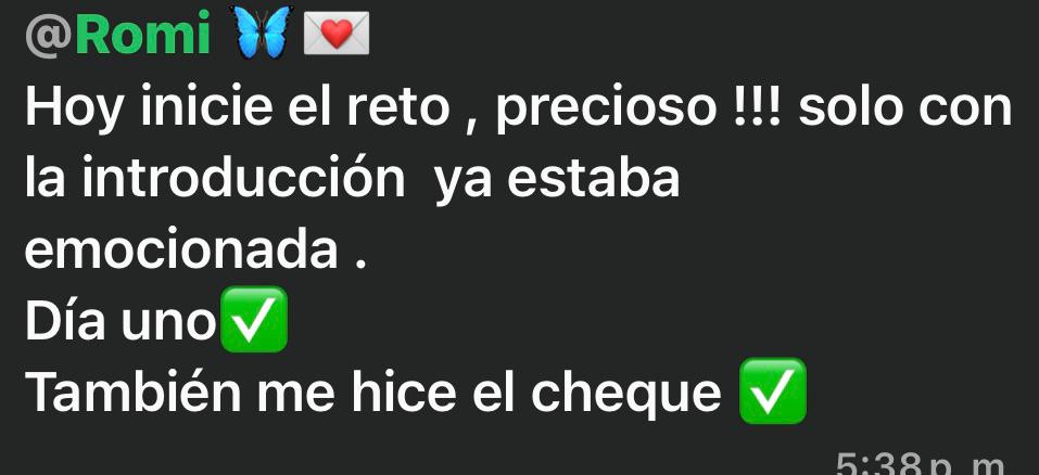 Mensaje real de una lectora sobre el journal (23)